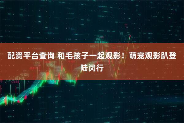 配资平台查询 和毛孩子一起观影！萌宠观影趴登陆闵行